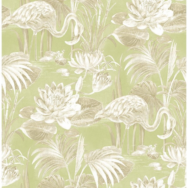 Brewster Miltonia Green Flamingo Paper Strippable Roll (Covers 56.4 sq. ft.)