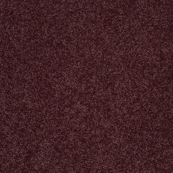 Home Decorators Collection Carpet Sample - Cressbrook I - In Color Wisteria Bloom 8 in. x 8 in.