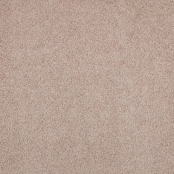 8 in. x 8 in. Texture Carpet Sample - Playful Moments II (S) -Color Harmony