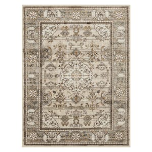 Fitzgerald 8 ft. x 10 ft. Gray Abstract Area Rug