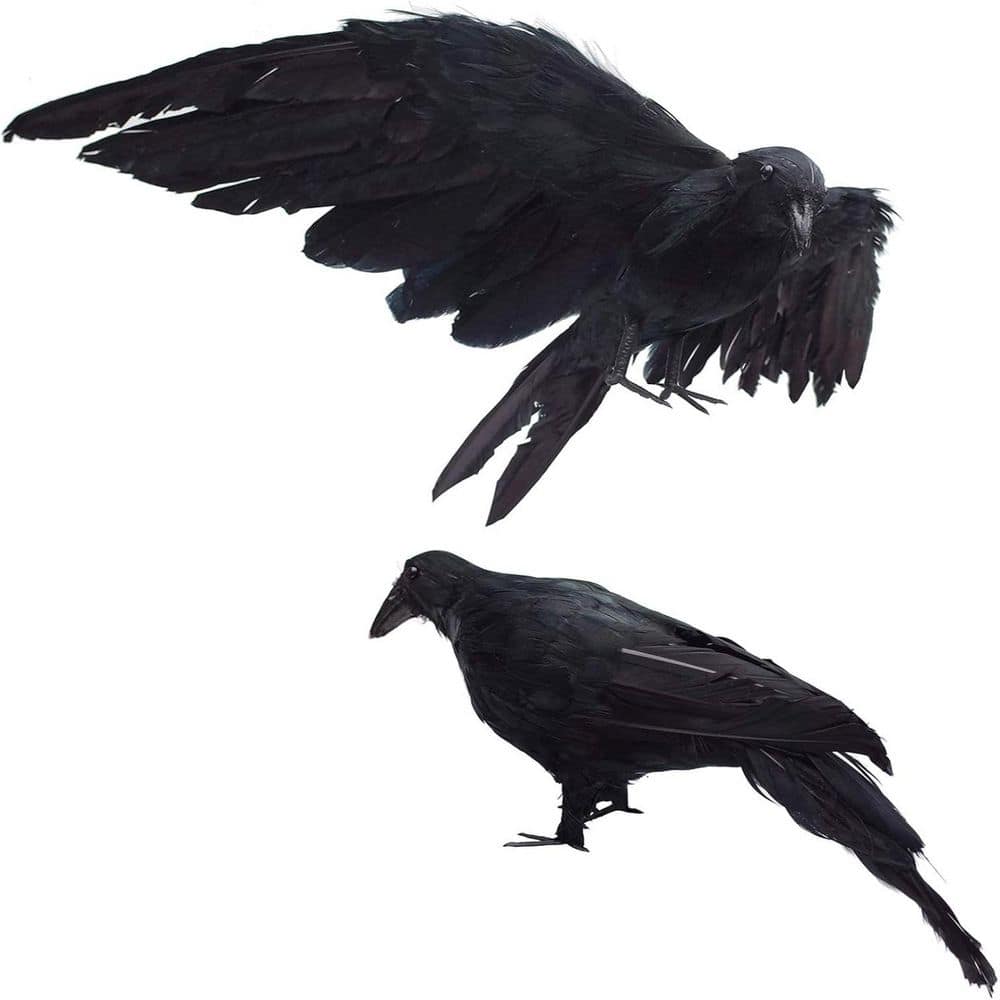 Outdoor 2-Pack Realistic Crow Extra Large Handmade Black Feather Crow Halloween Decorative Bird, L (13 in. + 12 in.) price history on PriceWatchPro