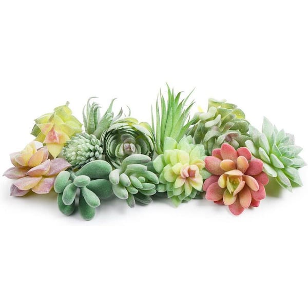 flower seeds at home depot Perennial Wildflower Seeds Mixture