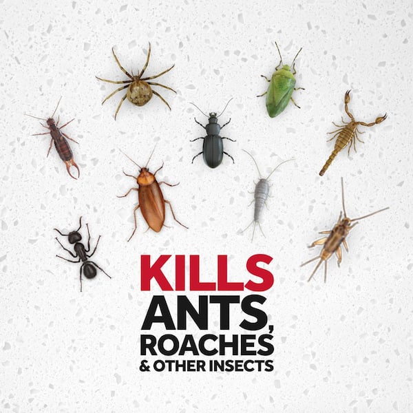 17.5 oz. Ready-to-Use Ant and Roach Killer