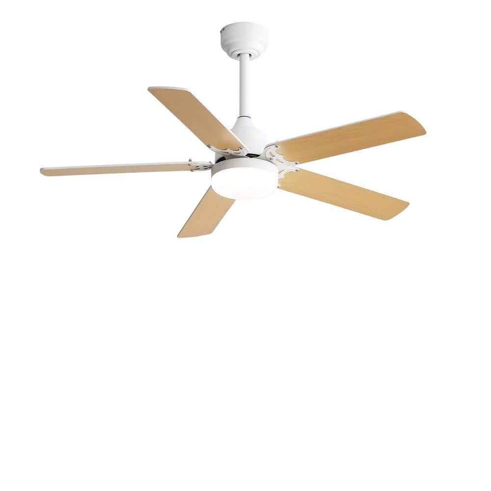 42 in. Indoor White Low Profile Standard Ceiling Fan with LED Noiseless Rev