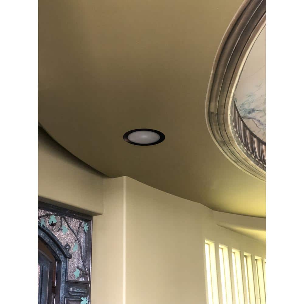 White and Bronze 8.5" LED Dimmable Down Light