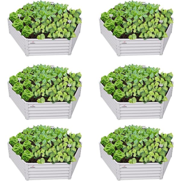 Unbranded 6pcs Hexagon Galvanized Raised Garden Beds-in. x 60 in. x 18 in. Metal Planter Boxes for Vegetables, Flowers and Herbs