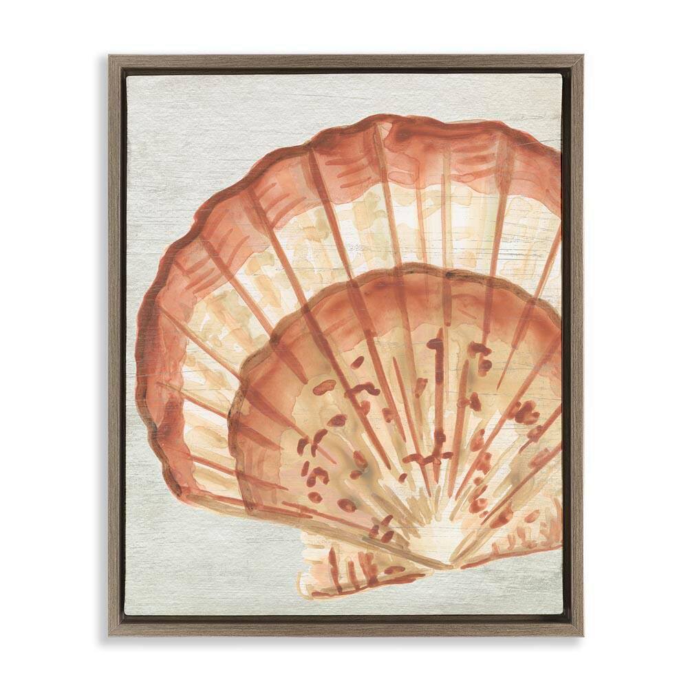 Clam Shell in Beige by June Erica Vess Brown Floater Frame Coastal Graphic Art Print 31 in. x 25 in. price history on PriceWatchPro