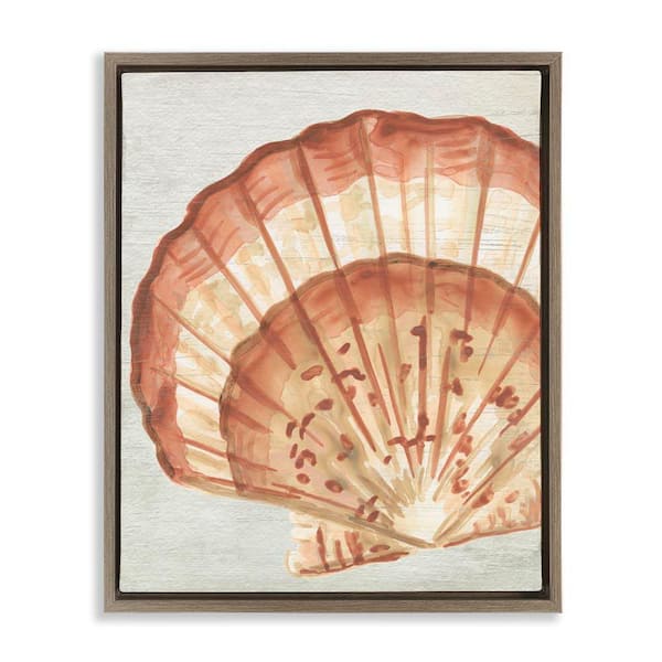 Stupell Industries Clam Shell in Beige by June Erica Vess Brown Floater Frame Coastal Graphic Art Print 31 in. x 25 in.