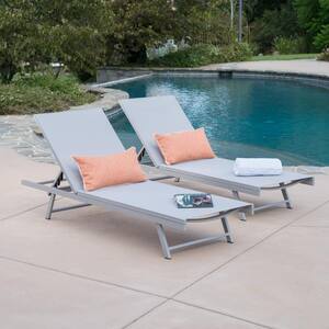 Gray 2-Piece Aluminum Adjustable Outdoor Chaise Lounge