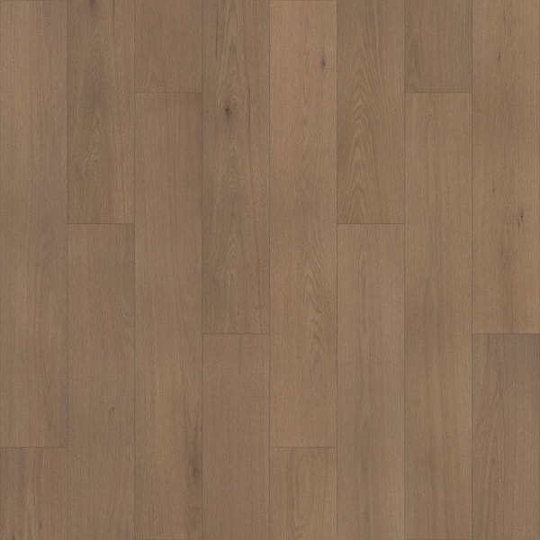 Pergo Take Home Sample Defense 5 In, Oxford Oak Engineered Hardwood Flooring