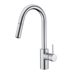 Euro Modern Single-Handle Pull-Down Sprayer Kitchen Faucet with Accessories in Rust and Spot Resist in Polished Chrome