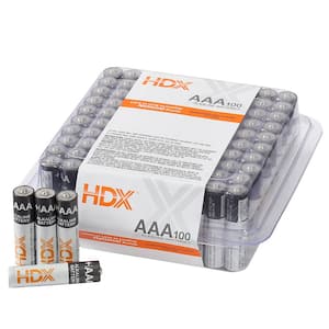 AAA Alkaline Battery (100-Pack)