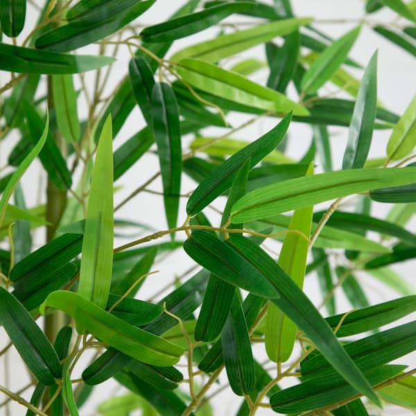 BAMBOO 2024.6〜2025.1 32