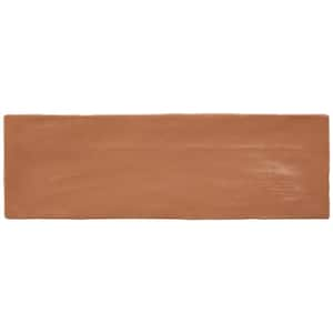 Amagansett Terracotta 2.55 in. x 0.32 in. Mixed Finish Ceramic Wall Tile Sample