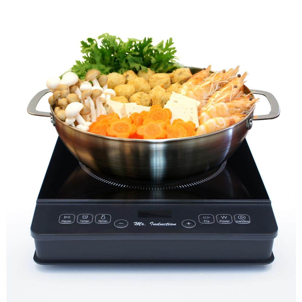 Black Ceramic 11" Induction Cooktop with Stainless Steel Pot