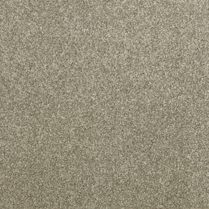 Denfort - Perfect Taupe - Brown 70 oz. Triexta Texture Installed Carpet