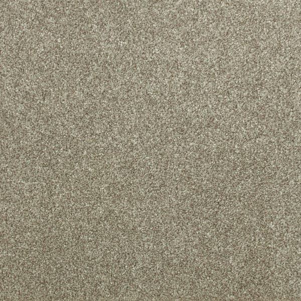 Lifeproof with Petproof Technology Denfort - Perfect Taupe - Brown 70 oz. Triexta Texture Installed Carpet