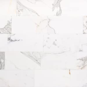 Carrara Gold 6 in. x 12 in. Polished Marble Wall Tile (5 sq. ft.)