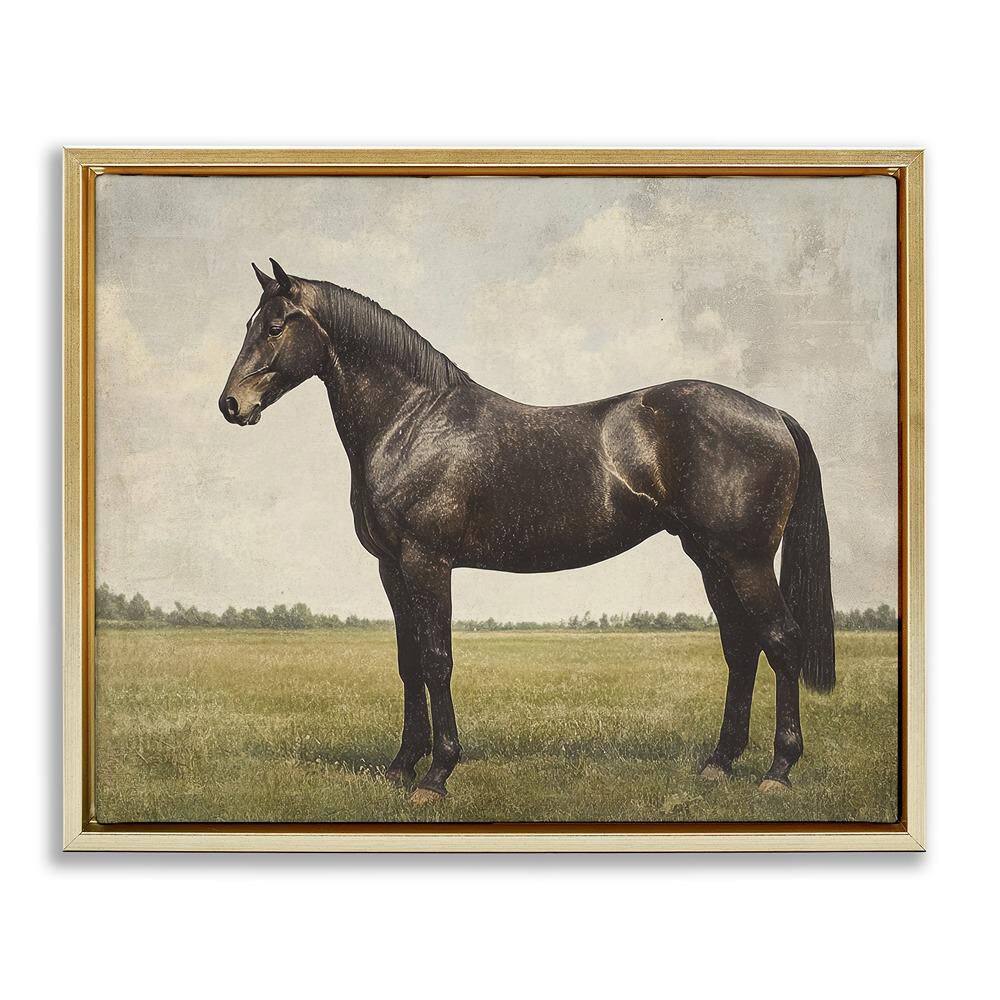 Espresso Horse Portrait by Petal Prints Design 1 Piece Gold Floater Frame Animal Graphic Art Print 25 in. x 31 in. price history on PriceWatchPro