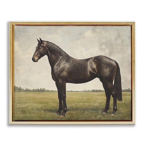 Espresso Horse Portrait by Petal Prints Design 1 Piece Gold Floater Frame Animal Graphic Art Print 25 in. x 31 in.