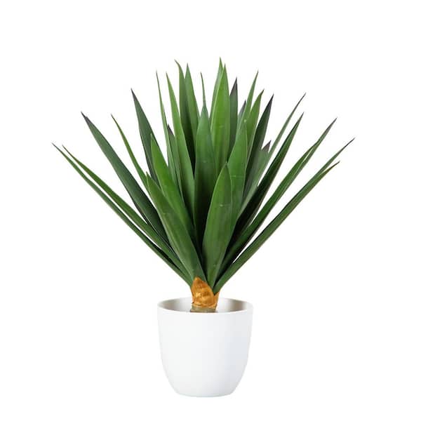 15 in. UV Resistant Artificial Agave Plant in White Planter (Indoor/Outdoor)
