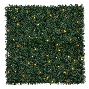 Nearly Natural 40 inch W x 40 inch H Artificial Boxwood Living Wall Privacy Panel Hedge with 100 Warm White LED Lights