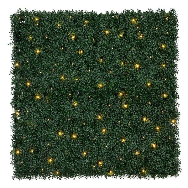 40 in. W x 40 in. H Artificial Boxwood Living Wall Privacy Panel Hedge with 100 Warm White LED Lights (Indoor/Outdoor)