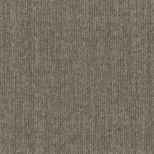 8 in. x 8 in. Textured Loop Carpet Sample - Basics -Color - Neutral
