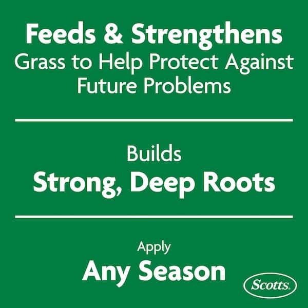 Turf Builder 37.5 lbs. 15,000 sq. ft. Dry Lawn Fertilizer for All Grass Types