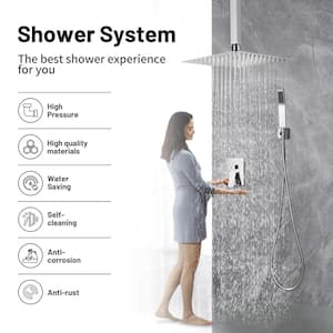 Rain Single Handle 1-Spray with Valve 1.8 GPM 12 in. Ceiling Mount Dual Shower Heads Hand Shower Faucet in Chrome