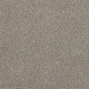Hazelton II - Hobby - Beige 50 oz. Polyester Texture Installed Carpet