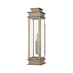 Stickland 20.25 in. 1-Light Vintage Pewter Outdoor Hardwired Wall Lantern Sconce with No Bulbs Included
