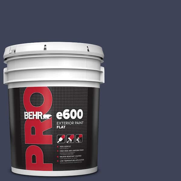 BEHR PRO 5 gal. #T16-10 Blue Vortex Flat Exterior Paint