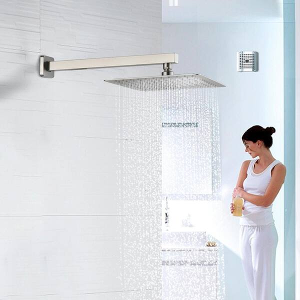 Tahanbath 1-Spray Patterns with 2.5 GPM 10 in. Wall Mount