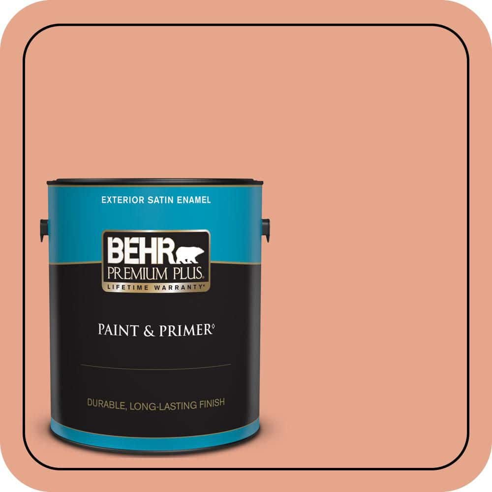 1 gal. #M180-4 Priceless Coral Satin Enamel Exterior Paint & Primer price history on PriceWatchPro