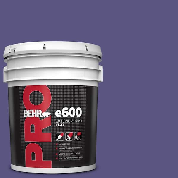 BEHR PRO 5 gal. #PPU16-01 Aurora Splendor Flat Exterior Paint