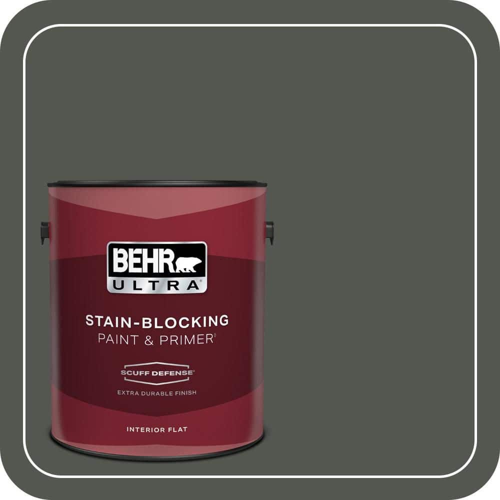 1 gal. #ECC-47-3 Twilight Forest Extra Durable Flat Interior Paint & Primer price history on PriceWatchPro