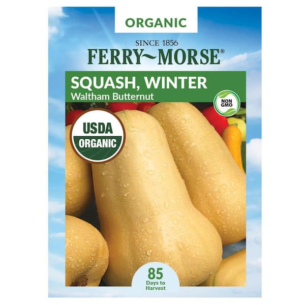 Ferry-Morse Organic Squash Table Queen Acorn Fruit Seed