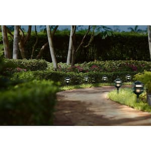 Ambiance 1-Light Emerald Green Landscape Path Fixture