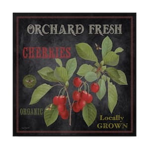 Jean Plot 'Orchard Fresh Cherries' Canvas Unframed Photography Wall Art 14 in. W. x 14 in