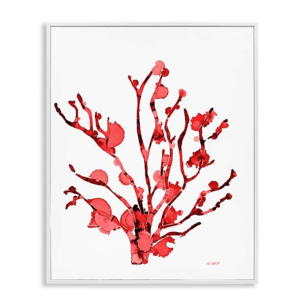 Stupell Industries Coral With Splashes by Patti Mann White Framed Coastal Giclee Art Print 14 in. x 11 in.