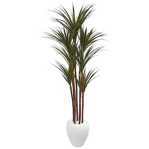 70 in. Giant Yucca Artificial Tree in White Planter UV Resistant