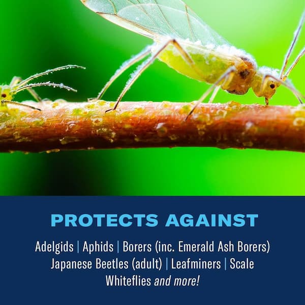 自然保護（全４巻） Conservation (4-Volume Set) Amazon.com: Conservation Biology: 9781605357140: Cardinale