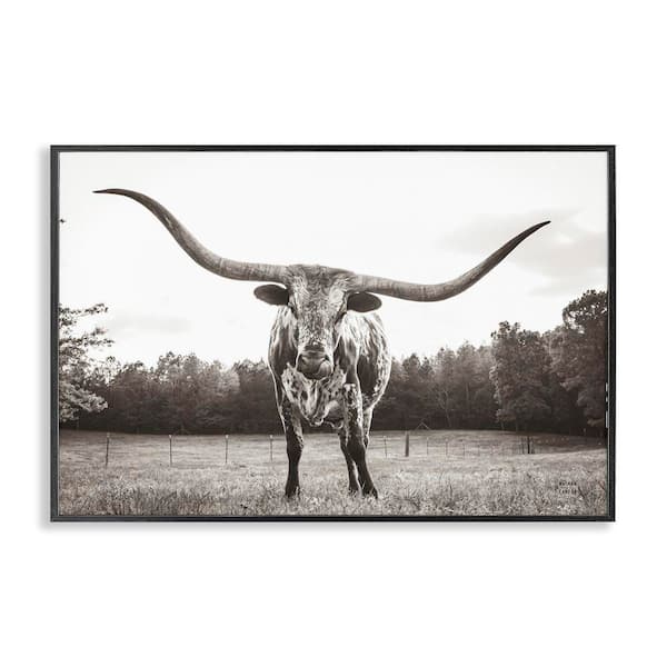 Stupell Industries Longhorn Licking Lips by Nathan Larson Black Framed Animal Giclee Art Print 12 in. x 18 in.