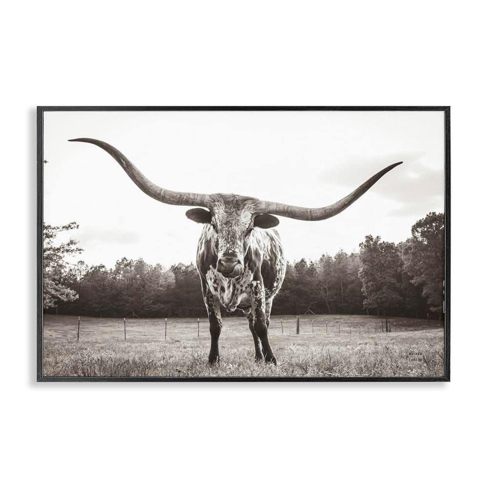 Longhorn Licking Lips by Nathan Larson Black Framed Animal Giclee Art Print 20 in. x 30 in. price history on PriceWatchPro