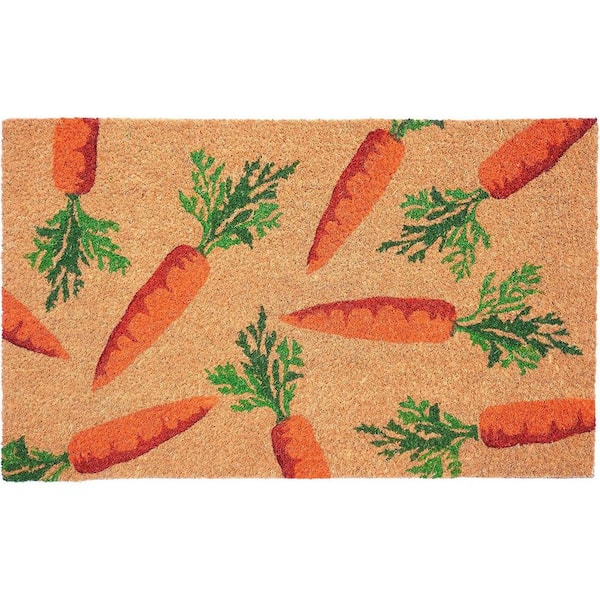 Multi-Colored 29 in. x 17 in. Coir Outdoor Door Mat