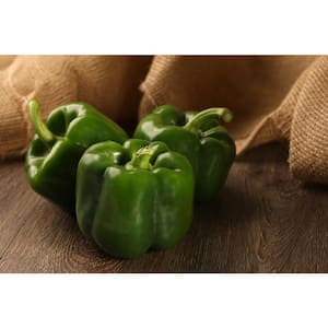 4.25 in. Eco+Grande, Bell Boy Pepper (Capsicum annuum) Live Vegetable Plant (4-Pack)