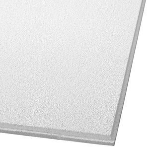 Dune 2 ft. x 2 ft. Tegular Ceiling Panel Ceiling Tile (64 sq. ft./case)