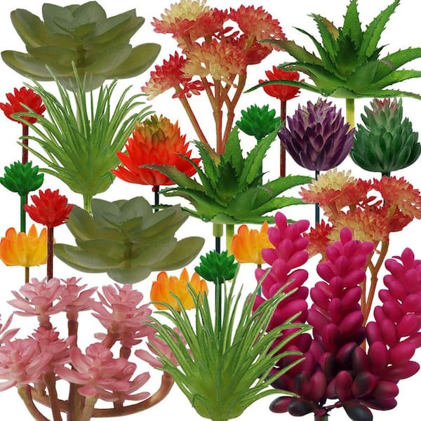 flower seed mix Cut Flower Fragrant Wildflower Seed Mix