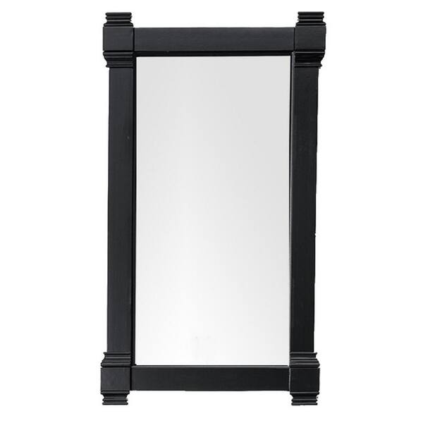 null Brittany 21.7 in. W x 39.2 in. H Framed Rectangular Wall Mirror in Black Onyx